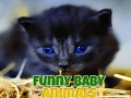                                                                       Funny Baby Animals ﻞﯿﮭﮐ