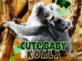                                                                       Cute Baby Koala Bear ﻞﯿﮭﮐ