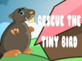                                                                       Rescue The Tiny Bird ﻞﯿﮭﮐ