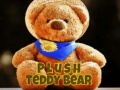                                                                       Plush Teddy Bear ﻞﯿﮭﮐ