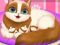                                                                       Cute Kitty Pregnant ﻞﯿﮭﮐ