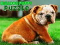                                                                       Bulldog Puppy Puzzle ﻞﯿﮭﮐ