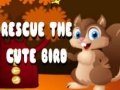                                                                       Rescue The Cute Bird ﻞﯿﮭﮐ