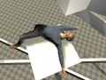                                                                       Ragdoll Test ﻞﯿﮭﮐ