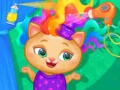                                                                       Pets Hair Salon ﻞﯿﮭﮐ