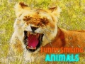                                                                       Funny Smiling Animals ﻞﯿﮭﮐ