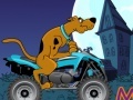                                                                       Scooby Doo Trail ﻞﯿﮭﮐ
