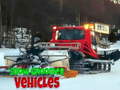                                                                       Snow Groomer Vehicles ﻞﯿﮭﮐ
