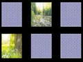                                                                       Nature Memory ﻞﯿﮭﮐ