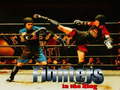                                                                       Fighters in the Ring ﻞﯿﮭﮐ