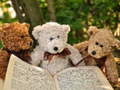                                                                       Cuddly Three Teddy Jigsaw ﻞﯿﮭﮐ