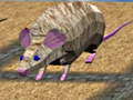                                                                       Mouse Race Islands ﻞﯿﮭﮐ