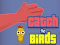                                                                       Catch the Birds ﻞﯿﮭﮐ