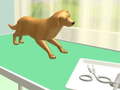                                                                       Paw Care ﻞﯿﮭﮐ