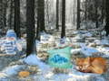                                                                       Winter Wonderland Forest Adventure ﻞﯿﮭﮐ