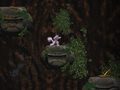                                                                       Cave Descent ﻞﯿﮭﮐ