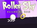                                                                       Roller Sky Balance Ball ﻞﯿﮭﮐ