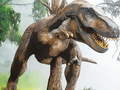                                                                       Tyrannosaurus Rex Carnivore Jigsaw ﻞﯿﮭﮐ