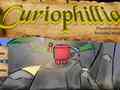                                                                       Сuriophillia ﻞﯿﮭﮐ