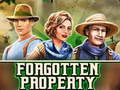                                                                       Forgotten Property ﻞﯿﮭﮐ