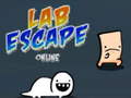                                                                       Lab Escape Online ﻞﯿﮭﮐ