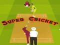                                                                       Super Cricket  ﻞﯿﮭﮐ