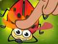                                                                       Insect Crush ﻞﯿﮭﮐ