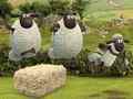                                                                       Shaun the Sheep Alien Athletics ﻞﯿﮭﮐ