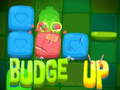                                                                       Budge Up ﻞﯿﮭﮐ