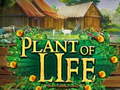                                                                       Plant of Life ﻞﯿﮭﮐ