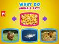                                                                       What Do Animals Eat? ﻞﯿﮭﮐ