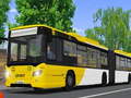                                                                       Public Transport Simulator 2021 ﻞﯿﮭﮐ
