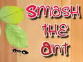                                                                       Smash the Ant ﻞﯿﮭﮐ