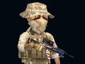                                                                       Rush Team ﻞﯿﮭﮐ