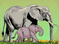                                                                       Wild Animals and Their Babies ﻞﯿﮭﮐ