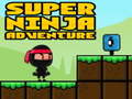                                                                       Super Adventure Ninja ﻞﯿﮭﮐ