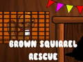                                                                       Brown Squirrel Rescue ﻞﯿﮭﮐ