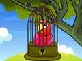                                                                       Red Parrot Rescue ﻞﯿﮭﮐ