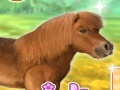                                                                       My Dear Pony ﻞﯿﮭﮐ