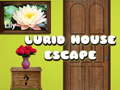                                                                       Lurid House Escape ﻞﯿﮭﮐ