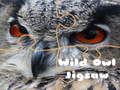                                                                       Wild owl Jigsaw ﻞﯿﮭﮐ