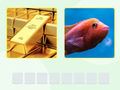                                                                       Picword ﻞﯿﮭﮐ