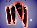                                                                       Funny Chorus ﻞﯿﮭﮐ