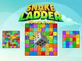                                                                       Snake and Ladder Board Game ﻞﯿﮭﮐ