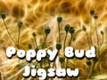                                                                       Poppy Bud Jigsaw ﻞﯿﮭﮐ