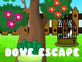                                                                       Dove Escape ﻞﯿﮭﮐ