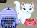                                                                       Baby Taylor Pet Care ﻞﯿﮭﮐ