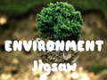                                                                      Environment Jigsaw ﻞﯿﮭﮐ