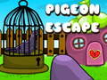                                                                       Pigeon Escape ﻞﯿﮭﮐ