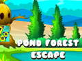                                                                       Pond Forest Escape ﻞﯿﮭﮐ